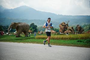 BIB: 
                            <button type="button" onclick="openModal(22436060)" class="btn btn-primary btn-sm float-right btn-popup" data-toggle="modal" data-target=".modal-high-quality">
                        <i class="fas fa-shopping-cart"></i> Add to Cart
                    </button>
                                            <button type="button" onclick="isThisMe(22436060, true)" class="btn btn-success btn-sm float-right btn-popup btn-isme hidden" data-toggle="tooltip" data-placement="bottom" title="นี่คือรูปของคุณใช่ไหม คลิกที่นี่เพื่อเอาเข้าอัลบั้ม">
                        <i class="fas fa-plus"></i> Add to album
                    </button>
                    <button type="button" onclick="isThisMe(22436060, false)" class="btn btn-warning btn-sm float-right btn-popup btn-isnotme hidden">
                        <i class="fas fa-ban"></i> Remove from album
                    </button>